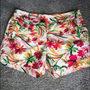The CUTEST shorts!